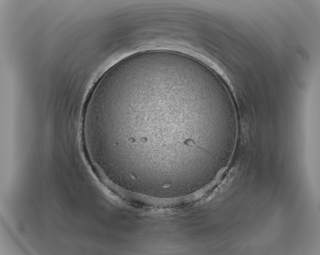 X0000115601525200911101355