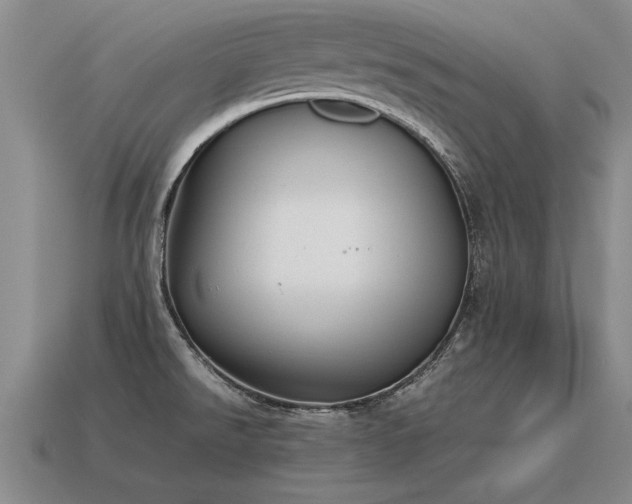 X0000115601526200911101355