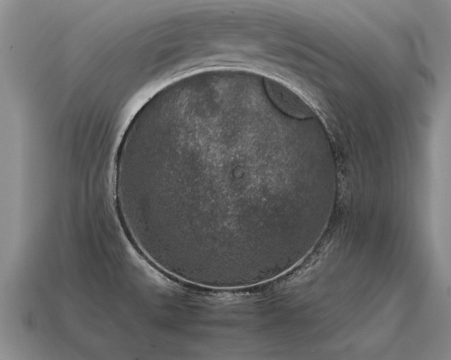 X0000115601527200911101355