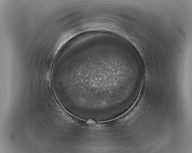 X0000115601529200911101355