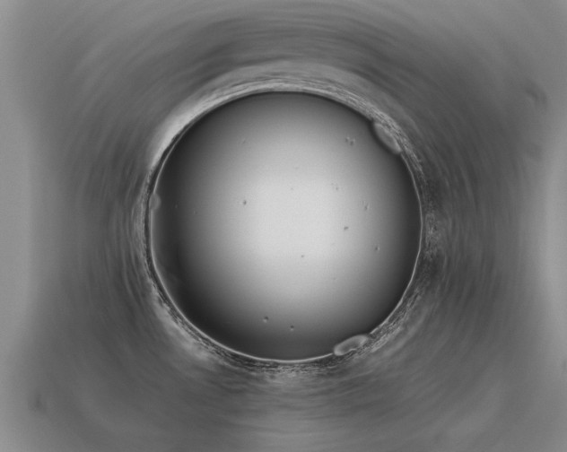 X0000115601530200911101355
