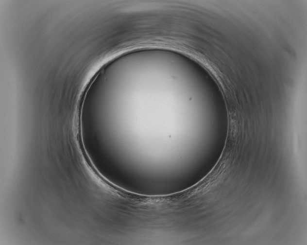 X0000115601531200911101355