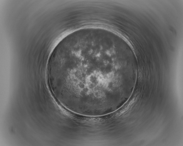 X0000115601533200911101355