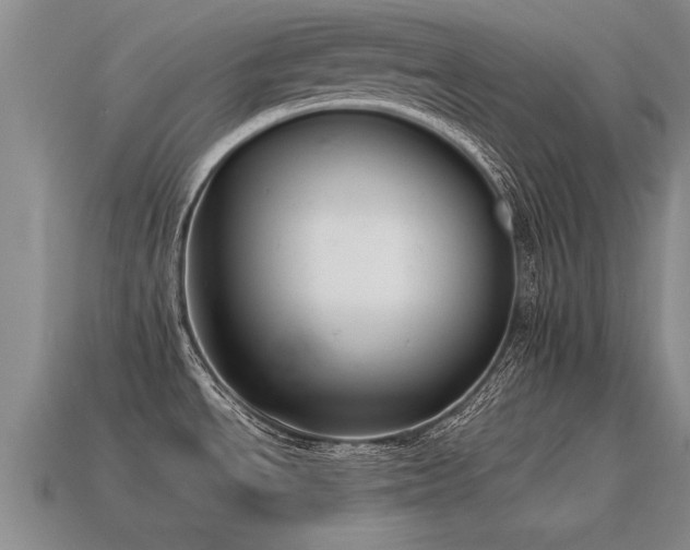 X0000115601534200911101355