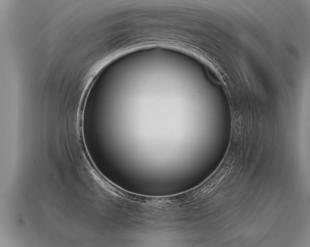 X0000115601535200911101355