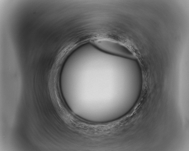 X0000115600001200911171137