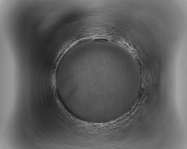 X0000115600002200911171137