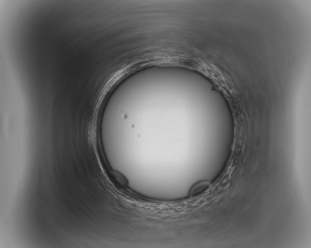 X0000115600003200911171137