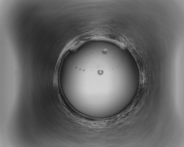 X0000115600004200911171137