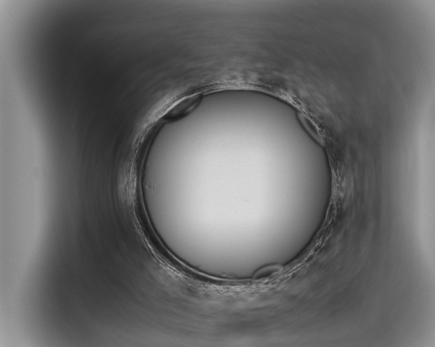 X0000115600005200911171137