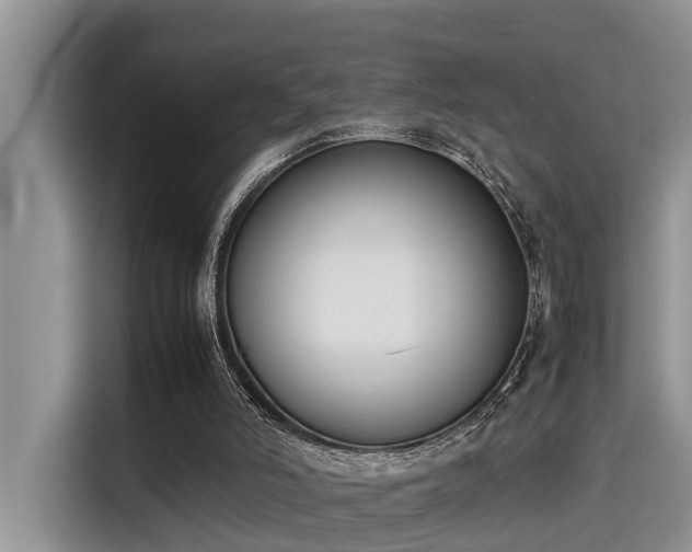 X0000115600006200911171137