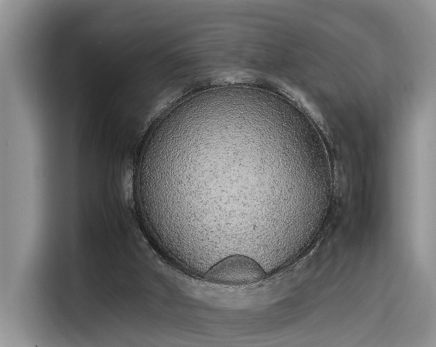 X0000115600010200911171137