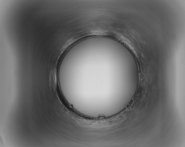 X0000115600011200911171137