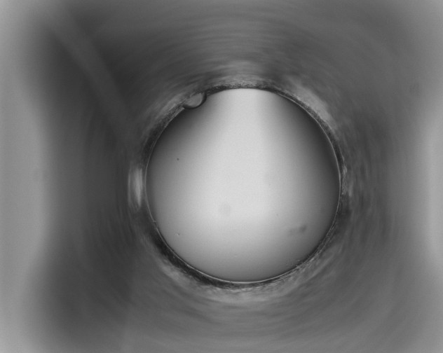 X0000115600013200911171137