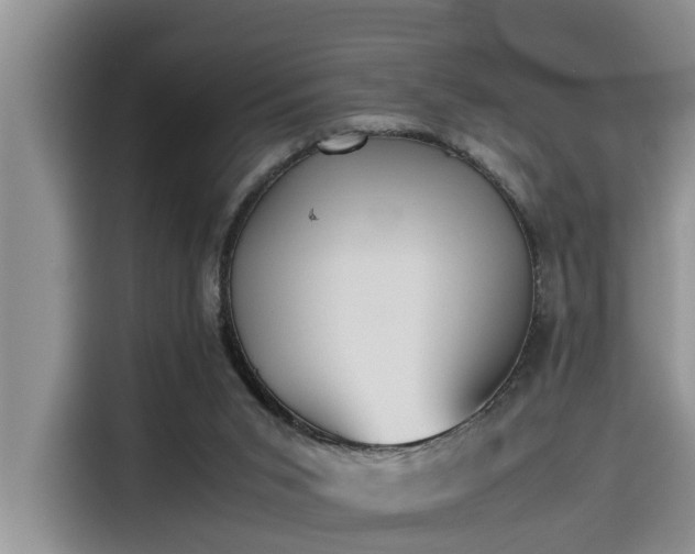 X0000115600015200911171137