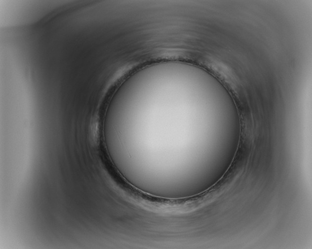 X0000115600016200911171137