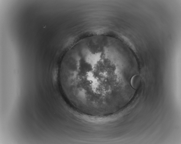 X0000115600018200911171137