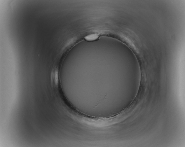 X0000115600019200911171137