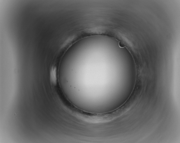 X0000115600020200911171137