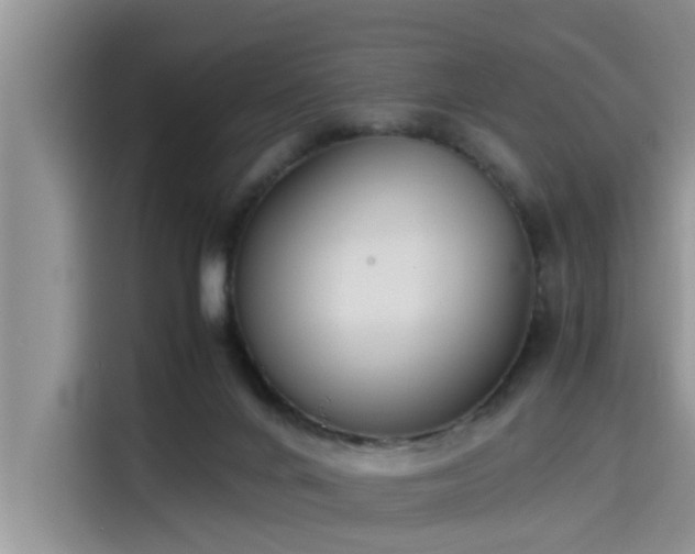 X0000115600024200911171137