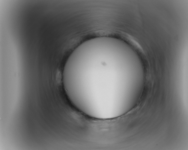 X0000115600025200911171137