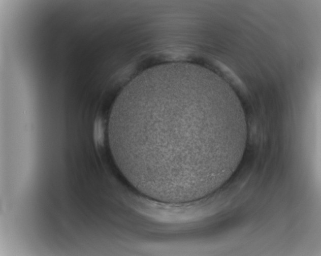 X0000115600026200911171137