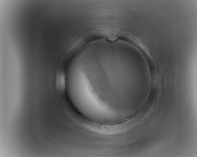 X0000115600027200911171137