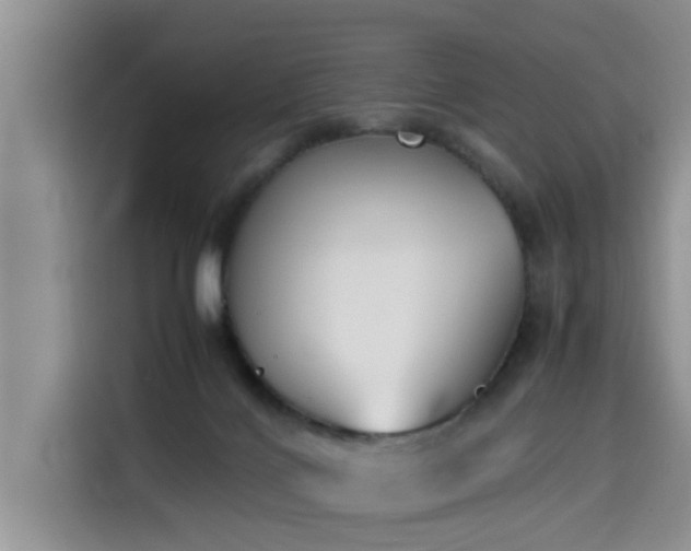 X0000115600028200911171137