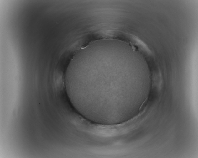 X0000115600029200911171137