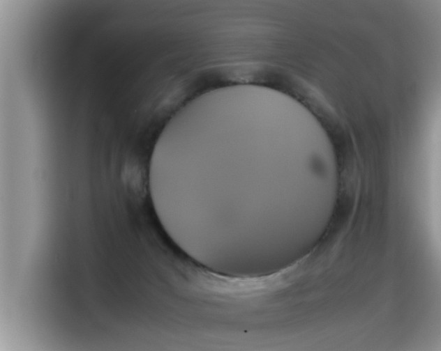 X0000115600031200911171137