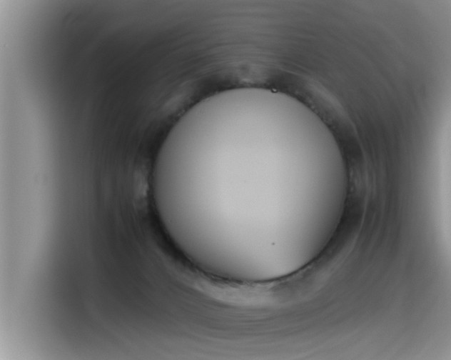 X0000115600032200911171137