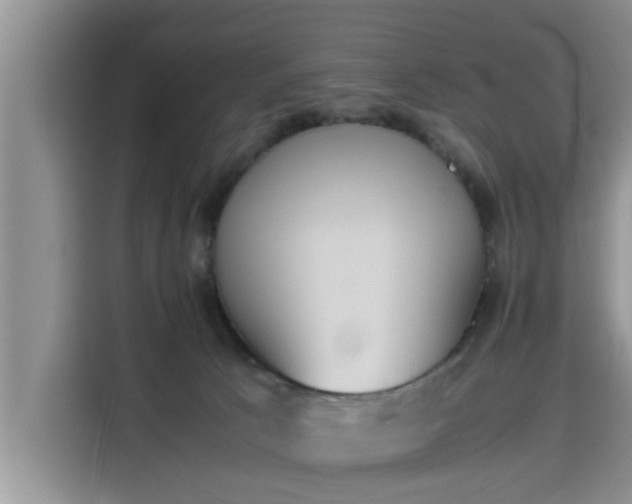 X0000115600033200911171137