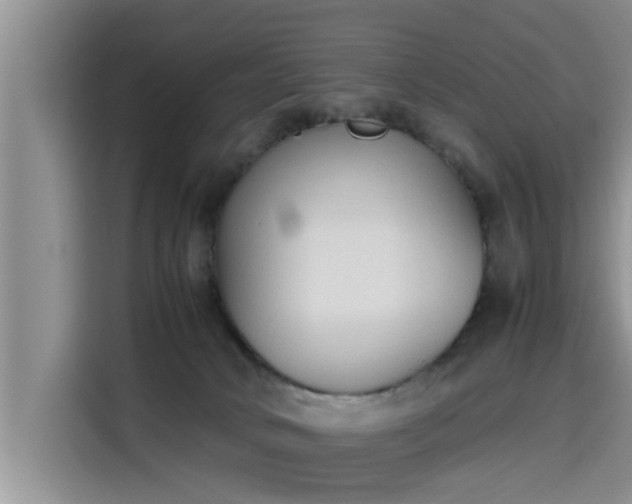 X0000115600034200911171137