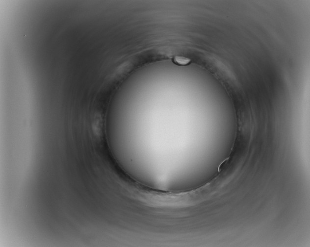 X0000115600036200911171137