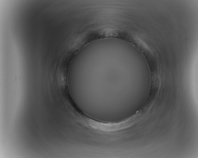 X0000115600039200911171137