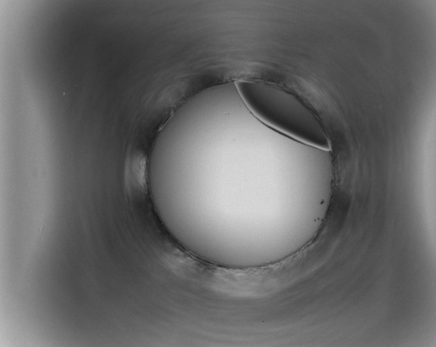 X0000115600041200911171137