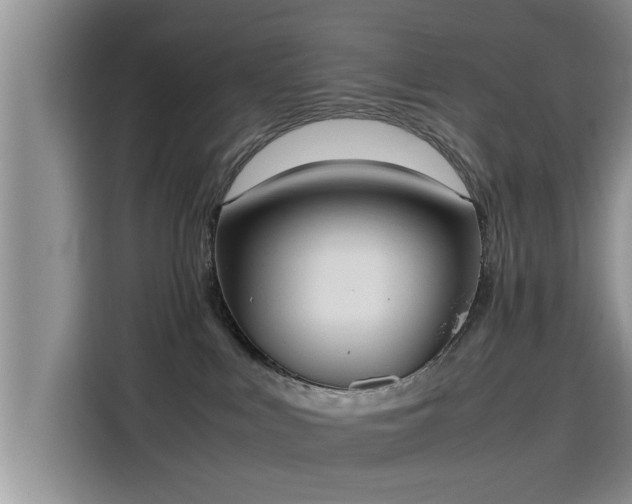 X0000115600043200911171137