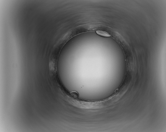 X0000115600044200911171137