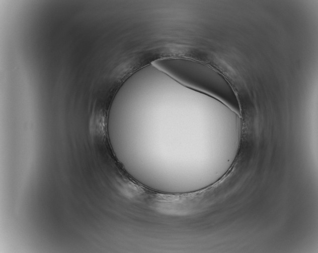 X0000115600045200911171137