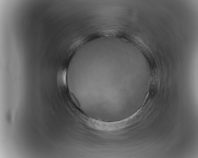 X0000115600047200911171137