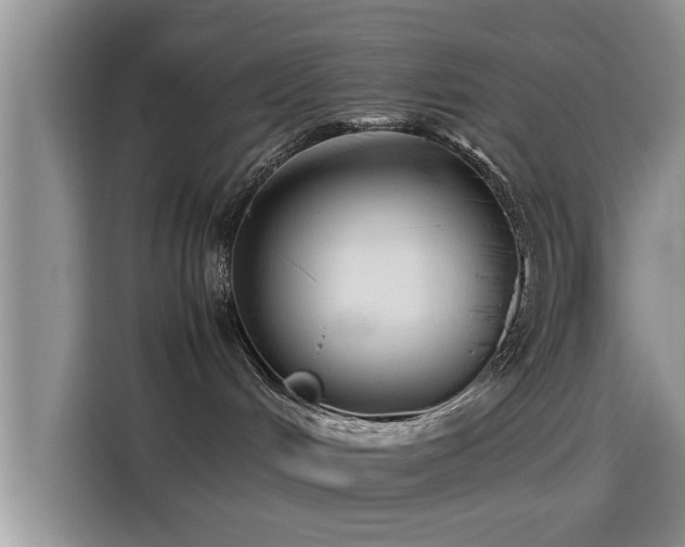 X0000115600048200911171137