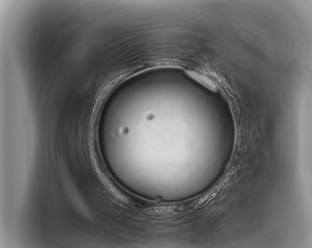 X0000115600049200911171136