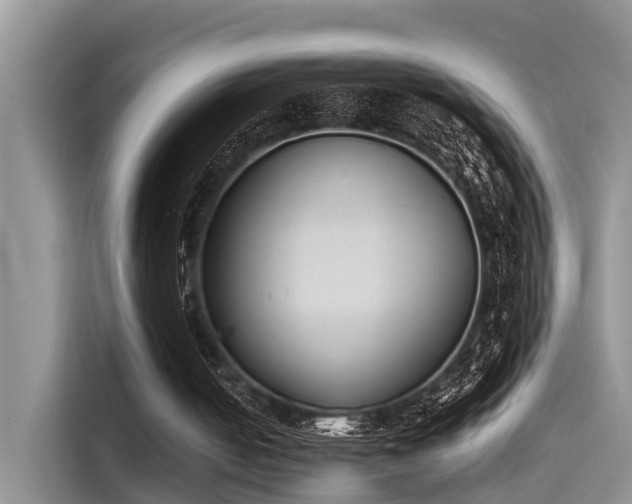 X0000115600050200911171136