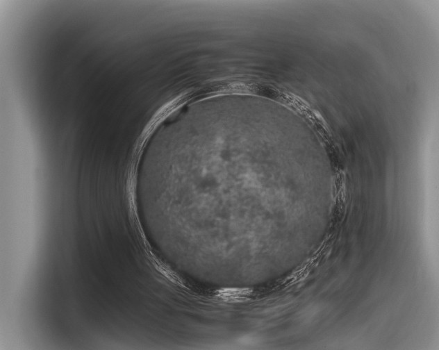 X0000115600051200911171136