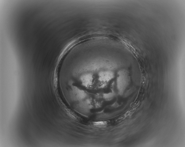 X0000115600053200911171136