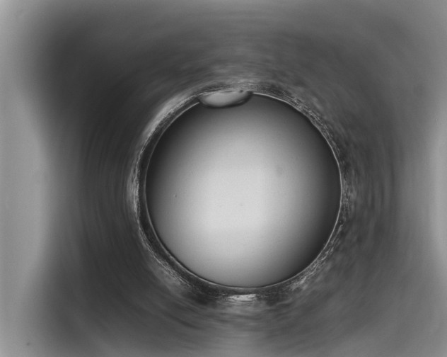 X0000115600054200911171136