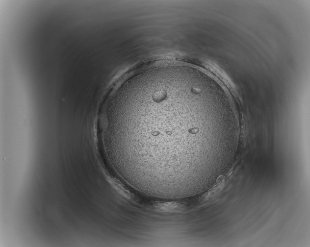 X0000115600058200911171136