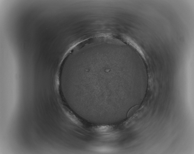 X0000115600059200911171136