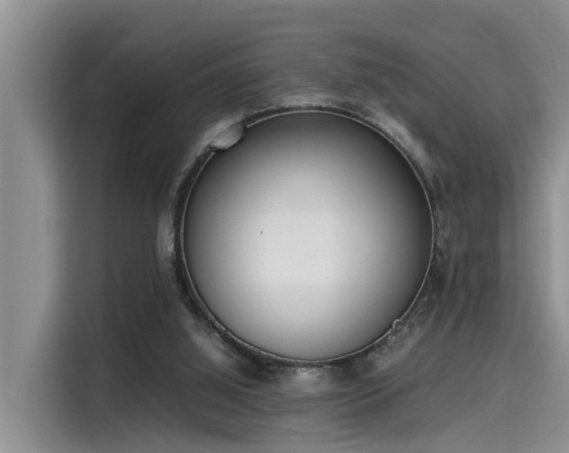 X0000115600060200911171136