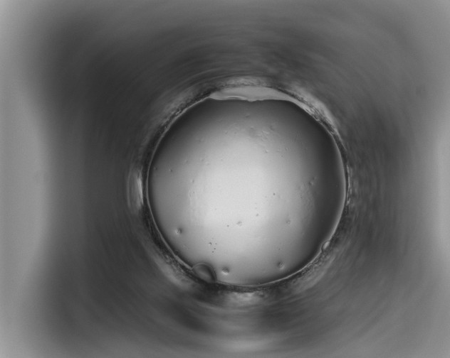 X0000115600061200911171136